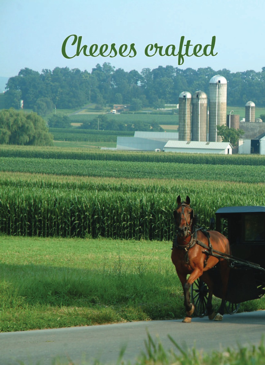 Our Catalog International Dairy Farms