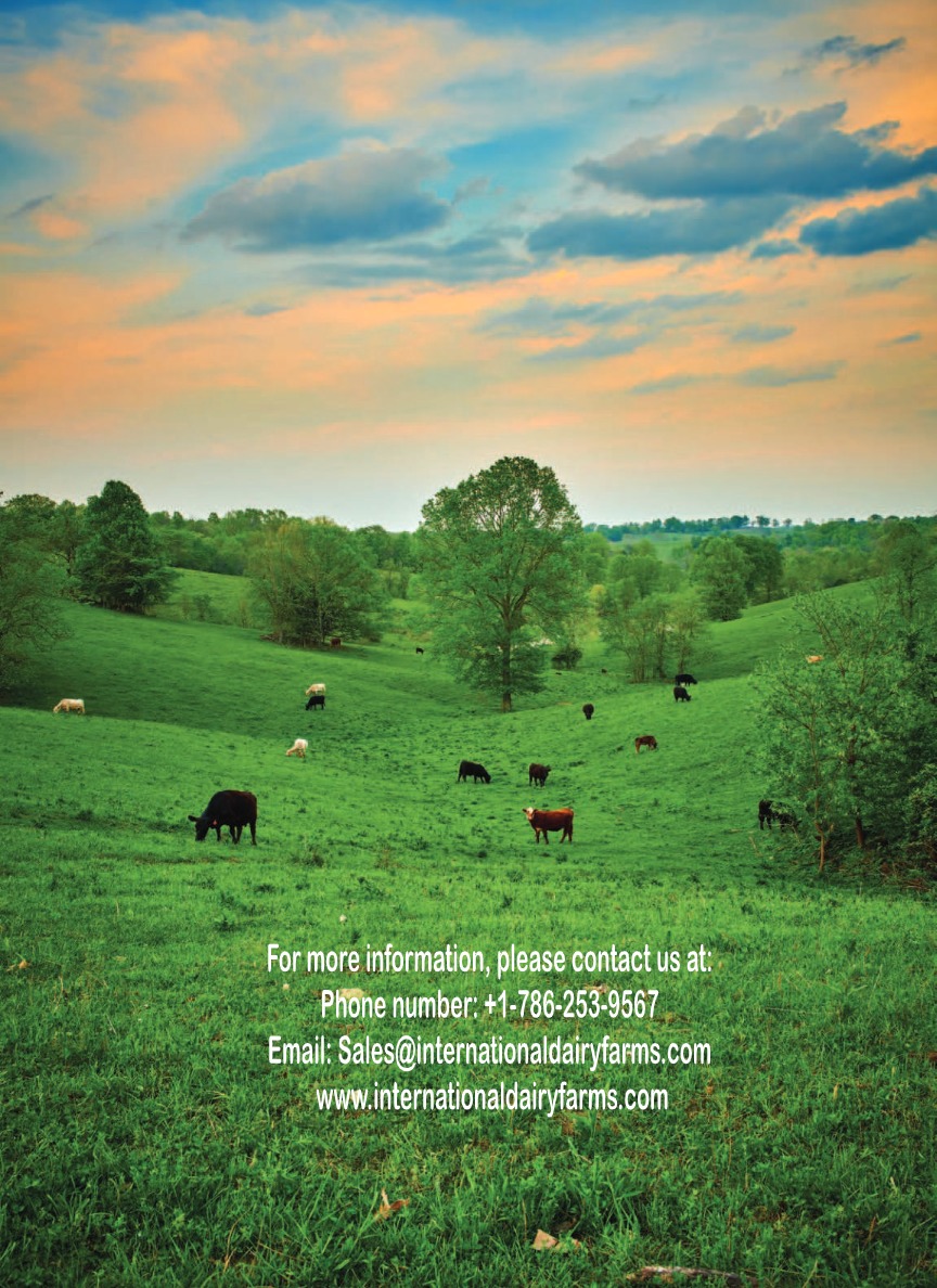 Our Catalog International Dairy Farms